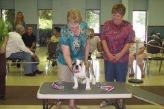 2009 Puppy Match