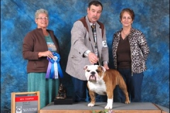 2009 Specialty Show
