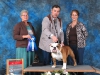 Winners Dog and Best of Winners